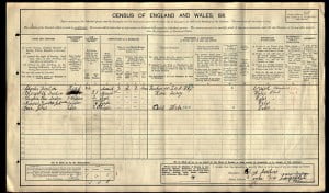 1911 census reduced